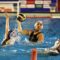 Pallanuoto, SIS Roma a caccia della rimonta: sabato i quarti di Champions League contro il Mataró